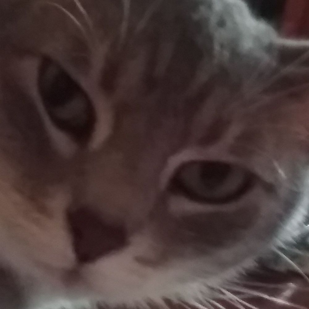 Meet your Posher, Jeanette